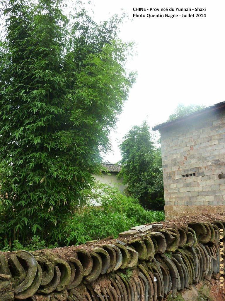146 - Shaxi.JPG